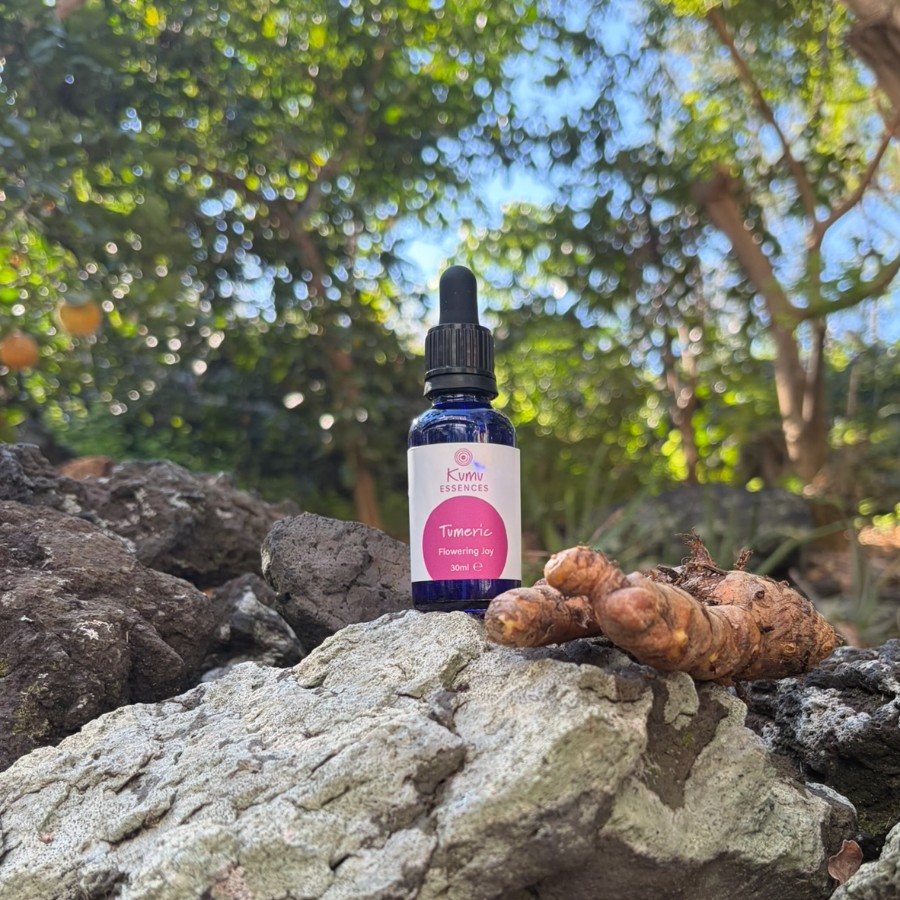 Turmeric - Image 2